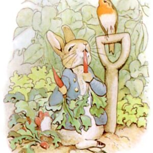Peter Rabbit Tea Basket